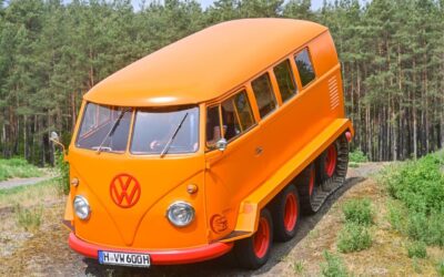 Raupen-Fuchs: spektakulärer Geländegänger auf Basis T1