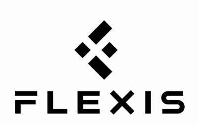 Flexis-Signet: ein Pfeil mit dem integrierten Buchstaben „F“.