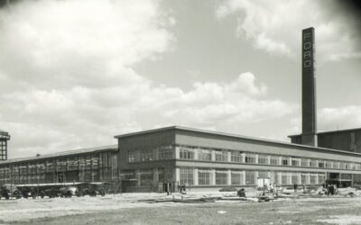 Aufbau: Seit 1930 ist Ford in Köln angesiedelt.