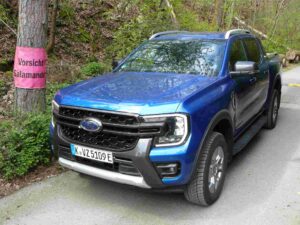 Markanter Auftritt: Der Ford Ranger PHEV kennt keine Angst vor großen und kleinen Tieren.