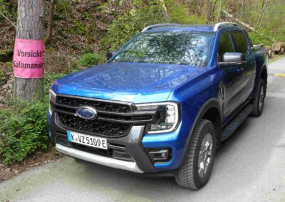 Experten-Test: Ford Ranger PHEV Markanter Auftritt: Der Ford Ranger PHEV kennt keine Angst vor großen und kleinen Tieren.