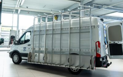 Sogar ein Transporter mit Glasreff parkt im Fahrzeugpool.